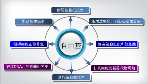 菇新靈芝提醒 自由基的危害