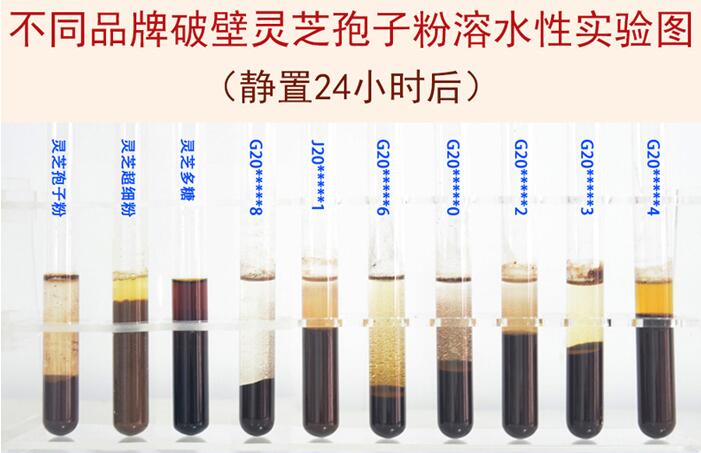 不同品牌破壁靈芝孢子粉溶水性對(duì)照